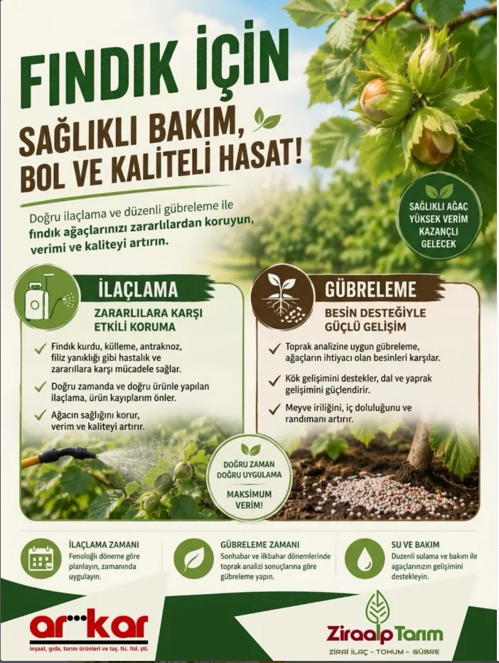 fındık